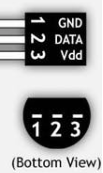 PIN-Belegung Dallas DS18B20